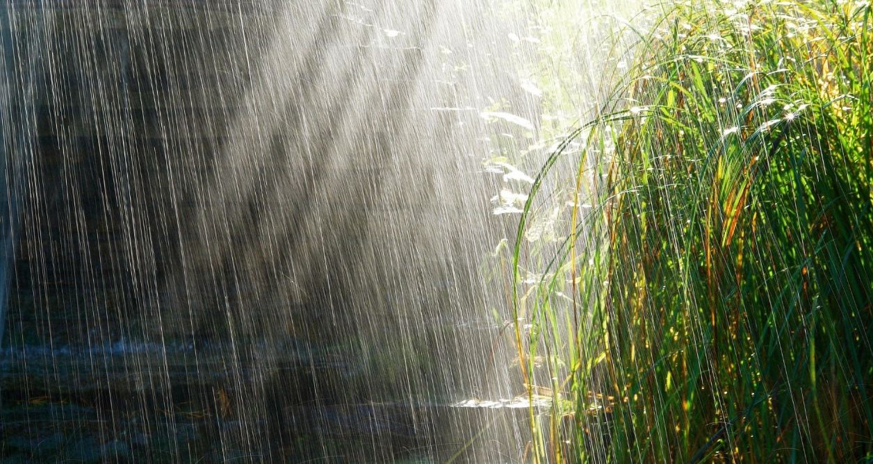 Прогноз погоды в Украине на 14 июня: дожди, грозы и высокая пожарная опасность.