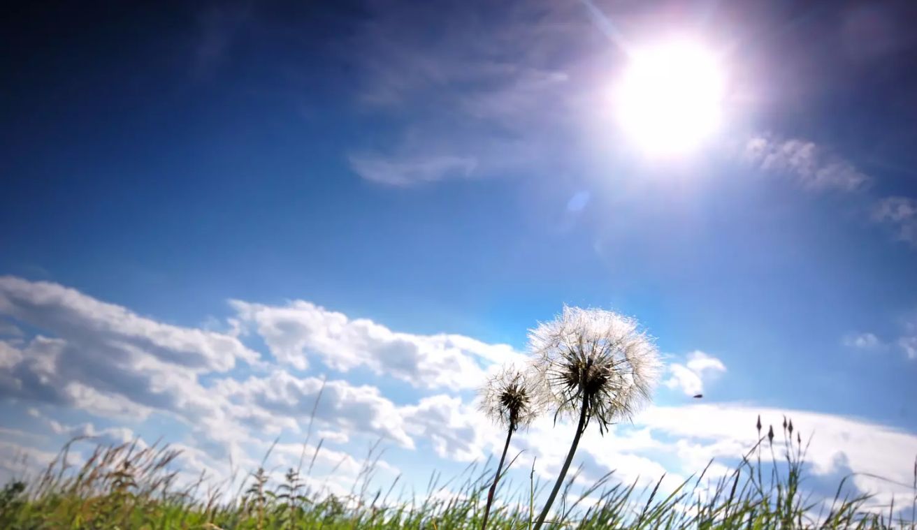 Найдовший день року: коли літнє сонцестояння у 2025 році та що не рекомендується робити