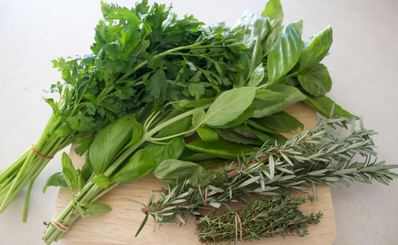 Свежая зелень будет до глубокой осени: что сеять в июне для щедрого урожая