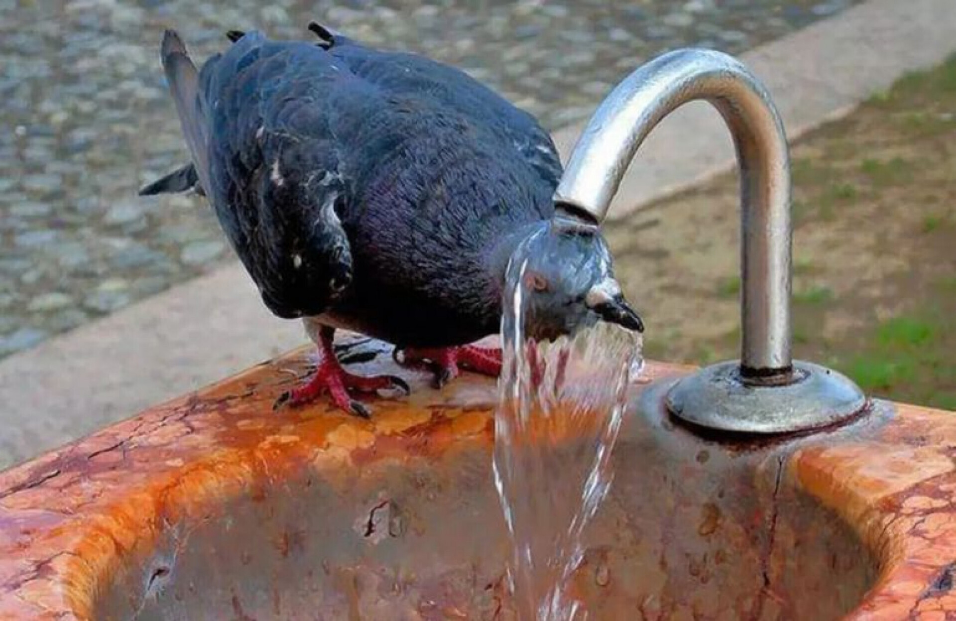 Жара возвращается: в Украине с 22 июля прекратятся дожди и вырастет температура