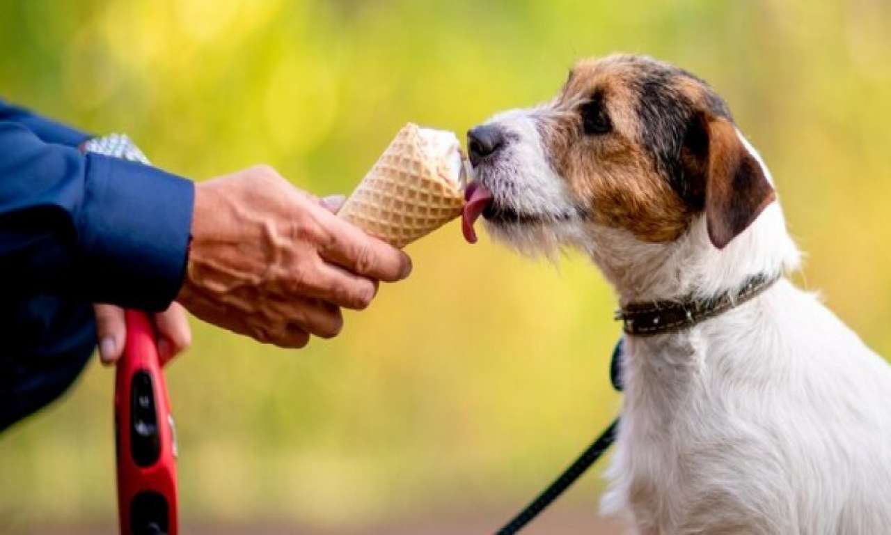 Погода 6 июля: жара до +33°C и ни одного дождя — прогноз для всей Украины