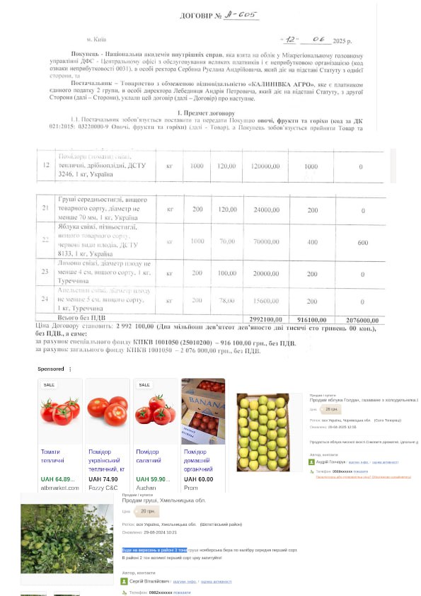 Тендерные переплаты Руслана Сербина в НАВД