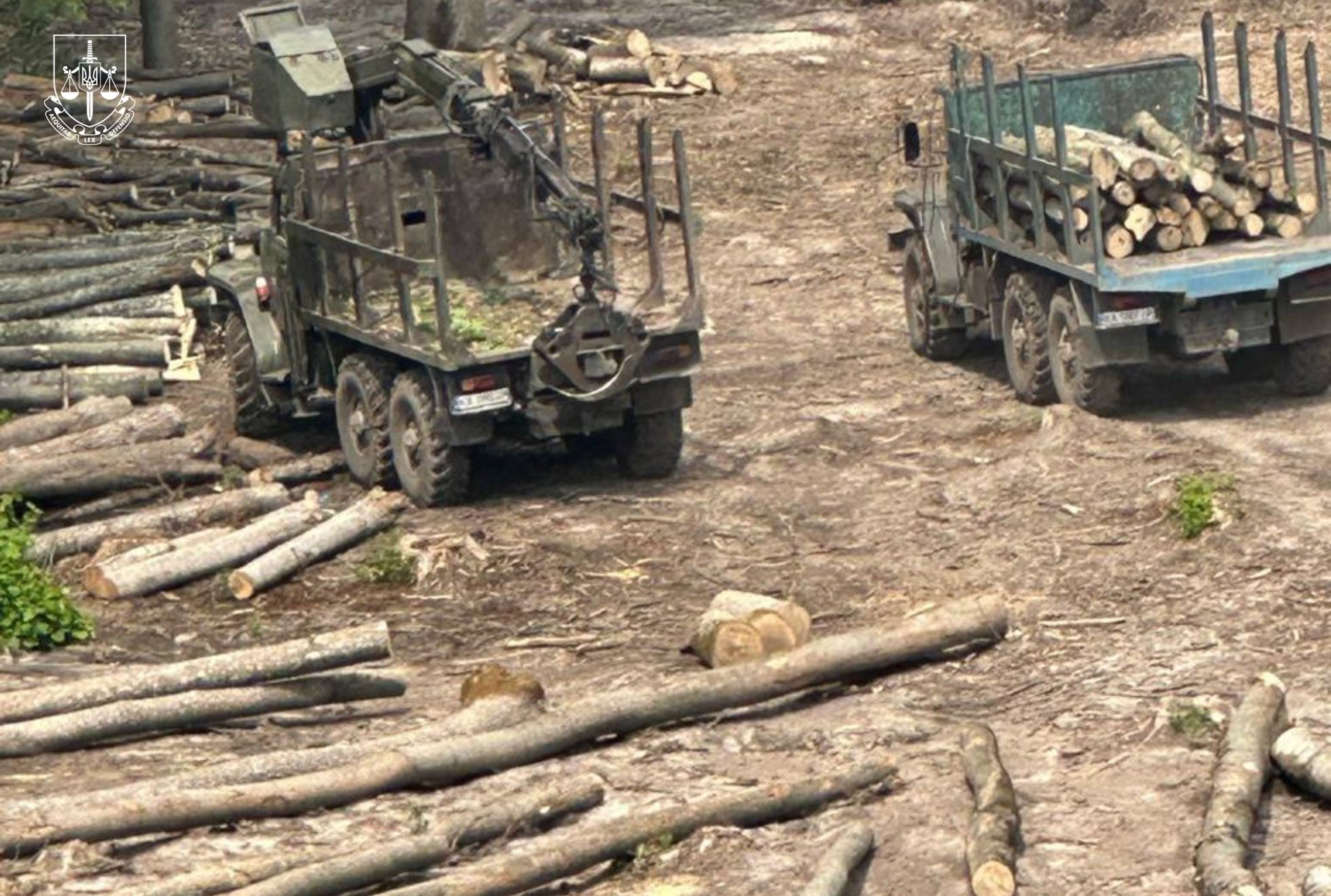 Корупція в "Лісах України": 13 підозрюваних, понад 10 млн грн хабарів і фальсифікація обліку деревини