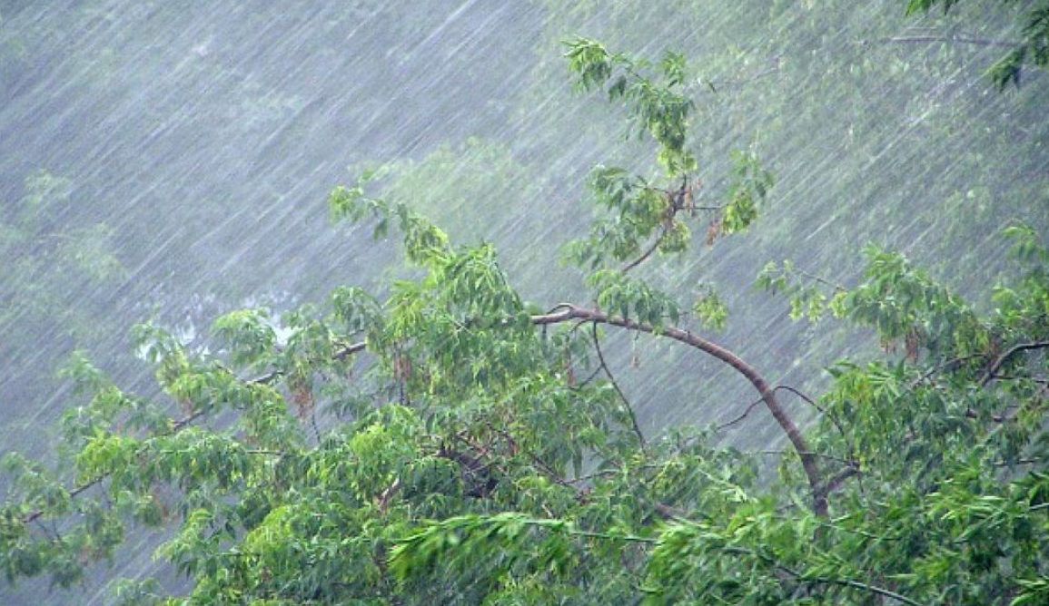 Град и жара одновременно: прогноз погоды на 28 июля