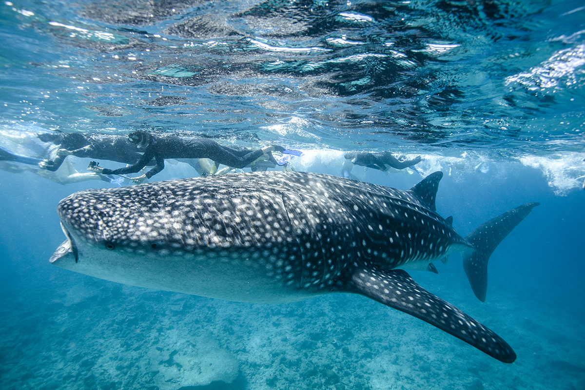 Яке свято 30 серпня і хто відзначає сьогодні іменини