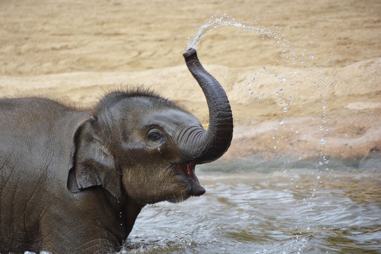Какой праздник 12 августа и кто отмечает сегодня именины