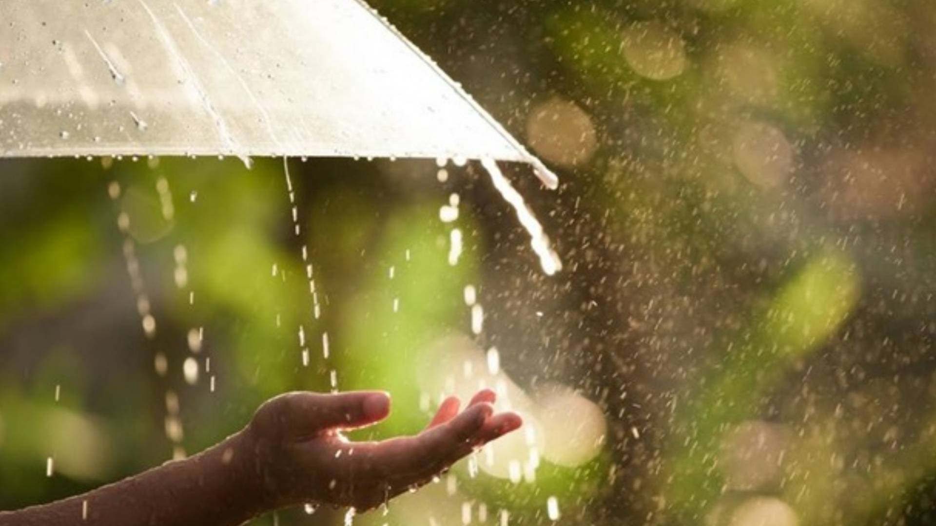 Грози, град і спека до +33: якою буде погода в Україні та на Київщині 22 серпня