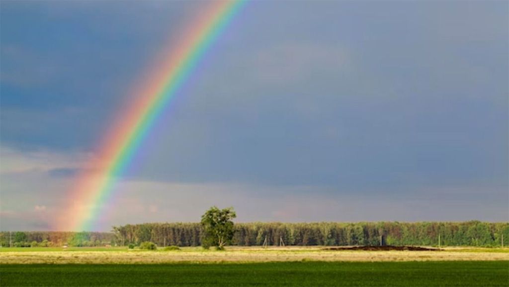 7 серпня погода в Україні зміниться: грози вщухнуть, температура знизиться