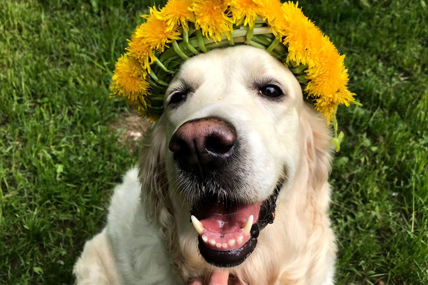 Яке свято 26 серпня і хто відзначає сьогодні іменини