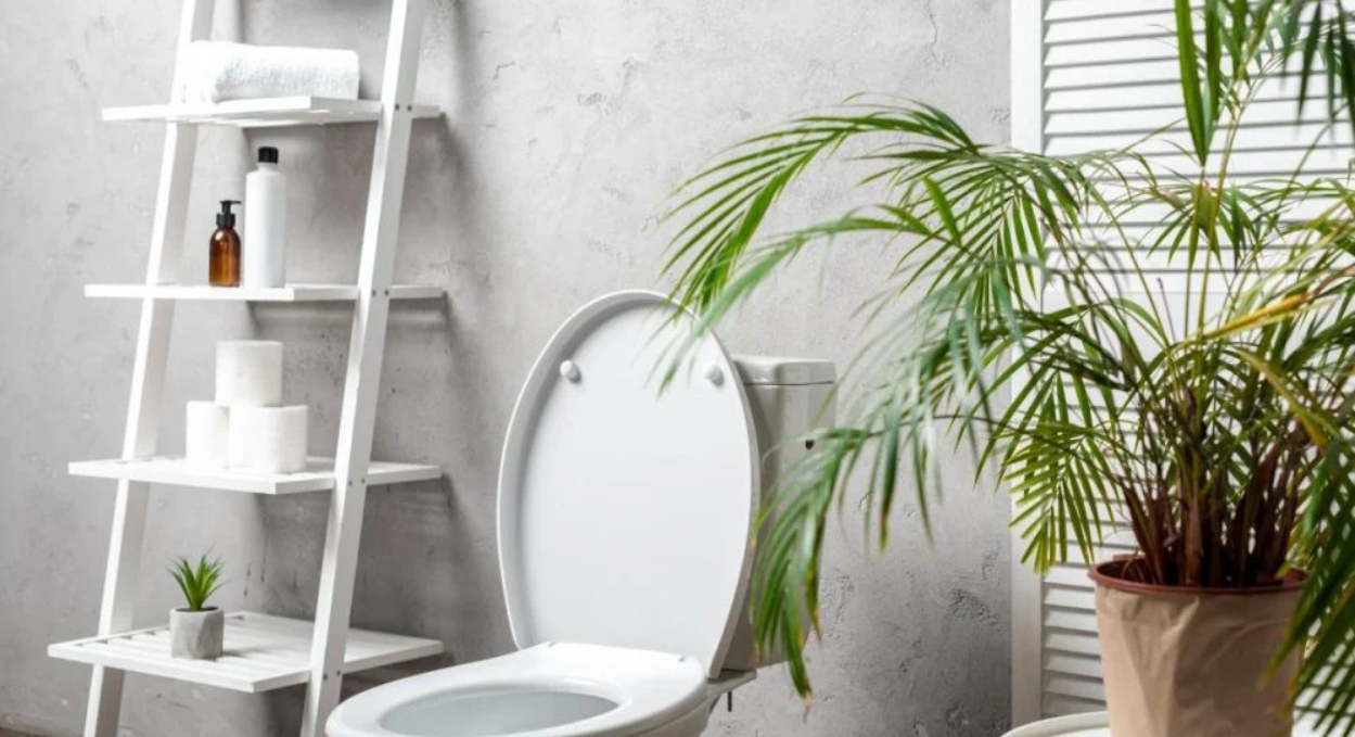 Як прочистити унітаз без вантуза: простий та ефективний засіб