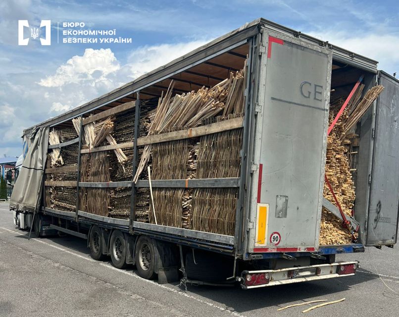 Во Львовской области будут судить женщину за организацию контрабанды лесоматериалов