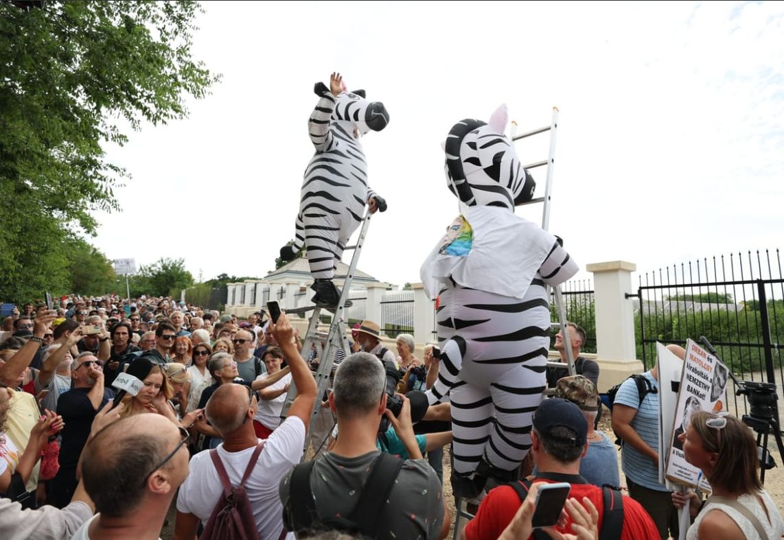 Фото: Hadházy Ákos