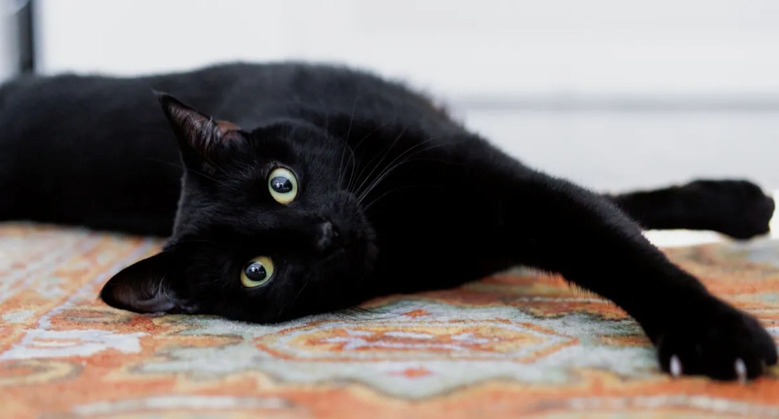 Яке свято 17 серпня і хто відзначає сьогодні іменини