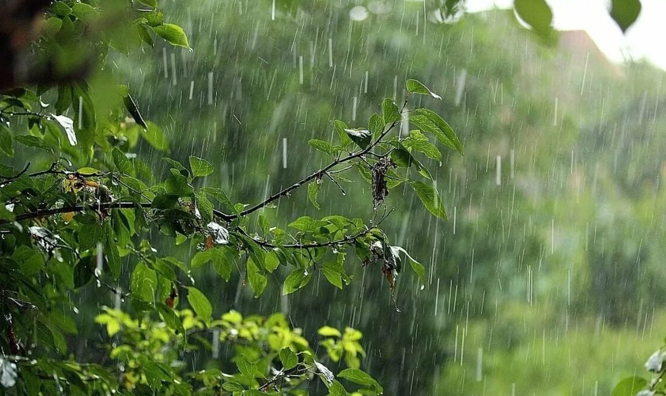 Погода в Украине на выходные 16-17 августа: жара, грозы и кратковременные дожди