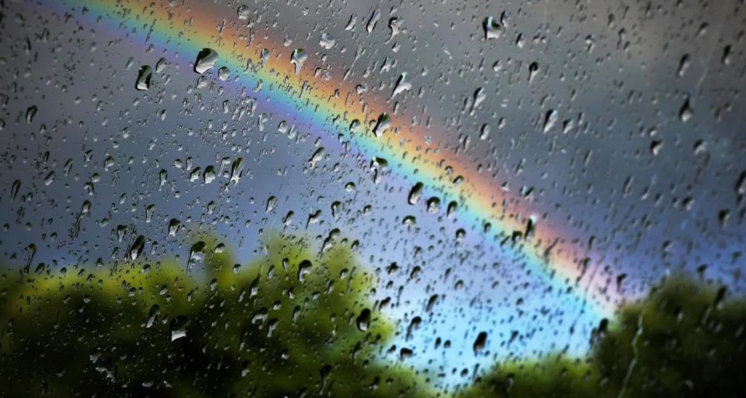 Переменная погода в Украине 18 августа: дожди, грозы и летнее тепло