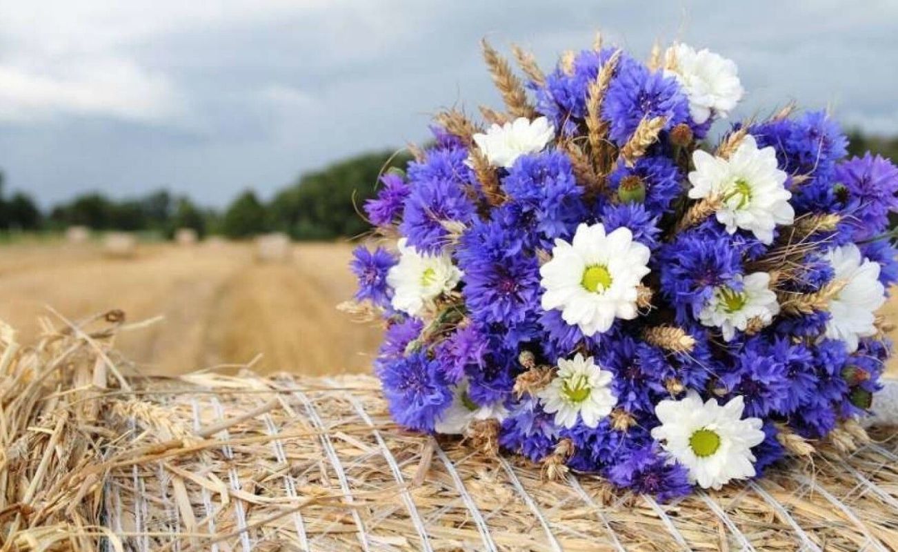 Последний день лета в Украине: солнечная погода и грозы на западе 31 августа