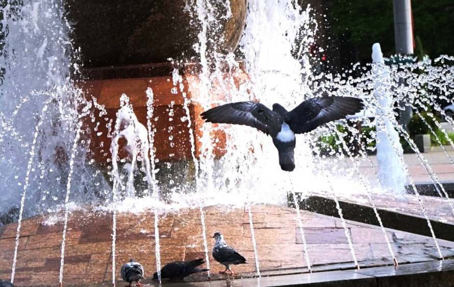 Україну накриє спека до +34: прогноз погоди на 30 серпня