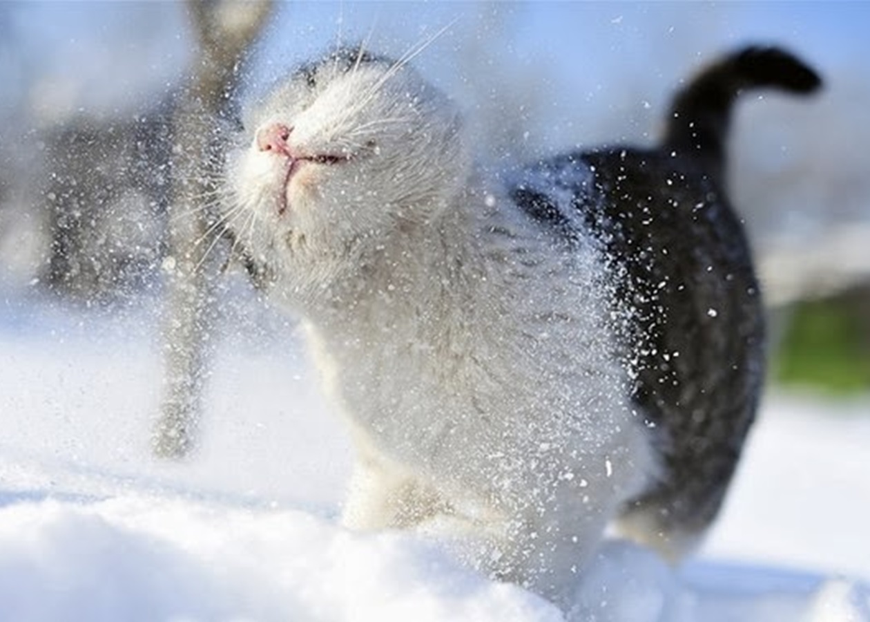 Останні теплі дні вересня: синоптики прогнозують різке похолодання та місцями сніг в Україні