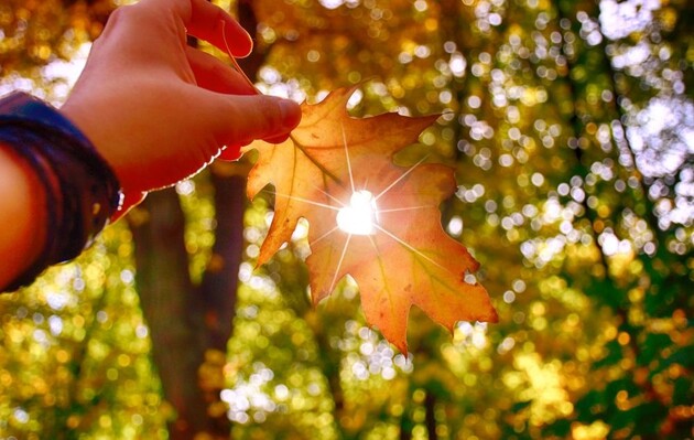 Когда потеплеет: прогноз погоды в Украине и Киеве на 6 сентября