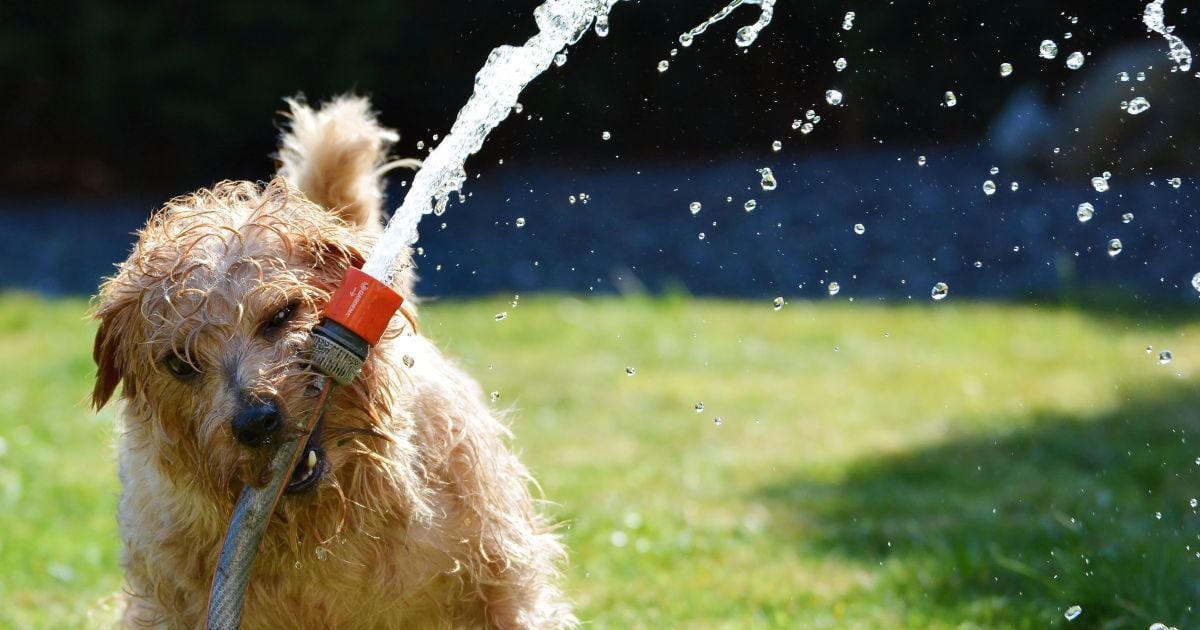 Жара и местные дожди: какой погоды ожидать в конце рабочей недели