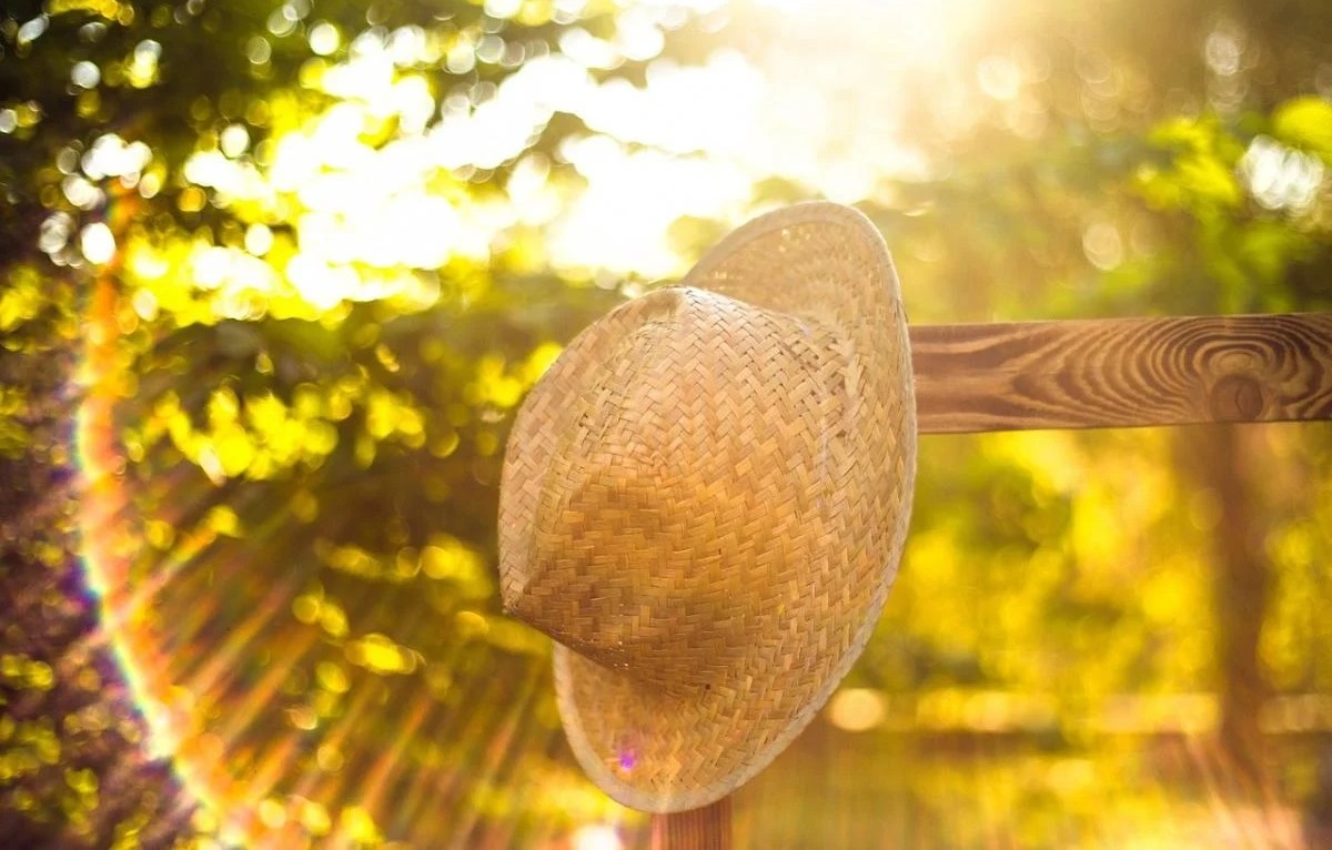 Погода в Украине 2 сентября: жара до +32°, на востоке возможны грозы