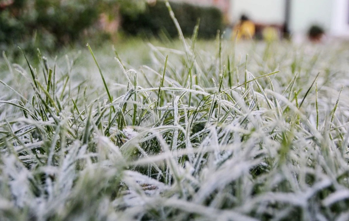 Погода в Украине 28 сентября: заморозки до -3 °С и туманы, но на Юге потеплеет до +21 °С