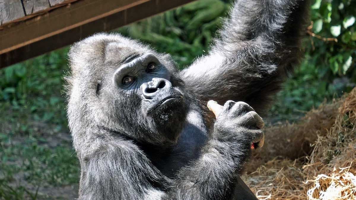 Какой праздник 24 сентября и кто отмечает сегодня именины