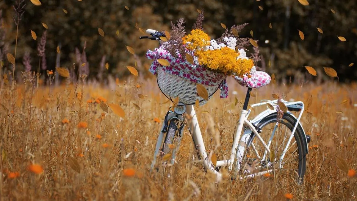 Бабье лето в Украине: синоптики прогнозируют теплую погоду в начале октября