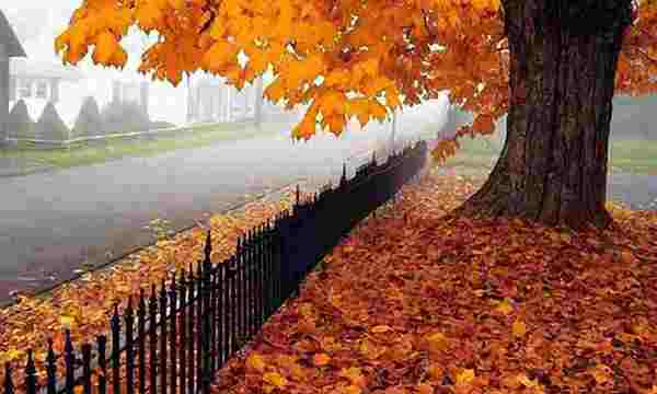 Перший день жовтня принесе дощі та +6 градусів: де чекати найсильнішого похолодання