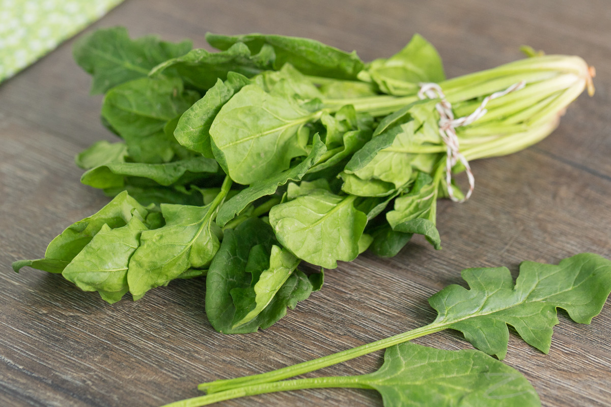 Диетологи назвали главный овощ для долголетия