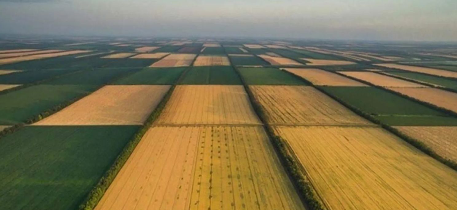 Земельная афера: начато расследование по заявлению матери погибшего Героя из Килии (Видео)