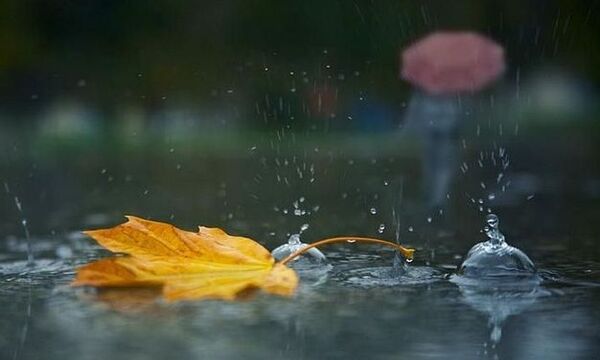 27 октября в Украине: синоптики прогнозируют солнце и умеренные дожди