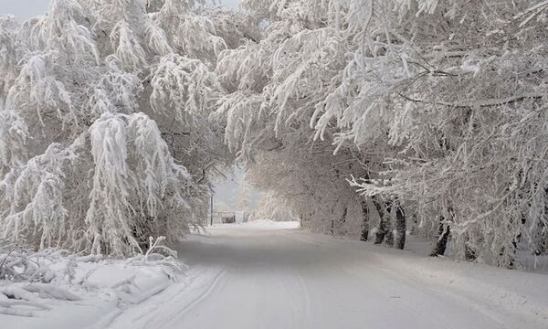 В Украине прогнозируют рекордно холодную зиму: морозы и снегопады накроют страну