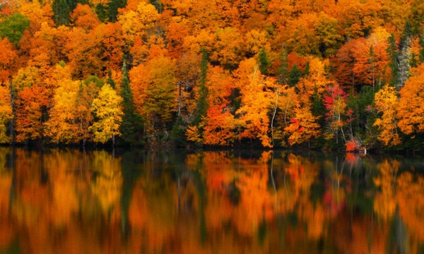 Православный праздник 17 октября: как день Осии и Андрея Критского помогает женщинам привлечь достаток