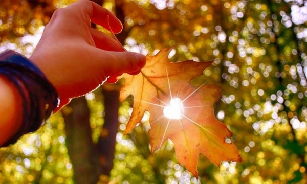 После заморозков – тепло: Украину накроет волна осеннего потепления