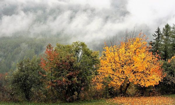 Прогноз погоды в Украине на 27 октября – 2 ноября: дожди, туманы и теплые дни