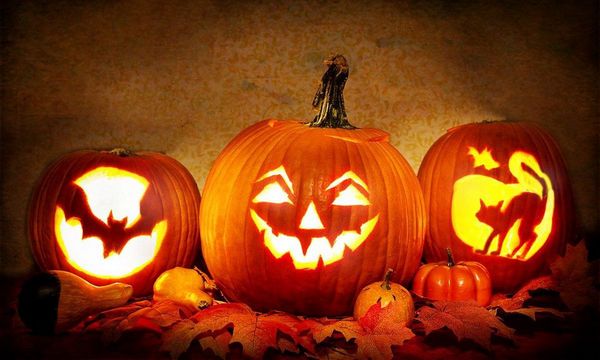 Як зберегти гарбуз свіжим до Геловіну: 8 способів