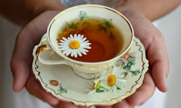 Ромашковий чай може шкодити: 5 побічних ефектів, про які варто знати