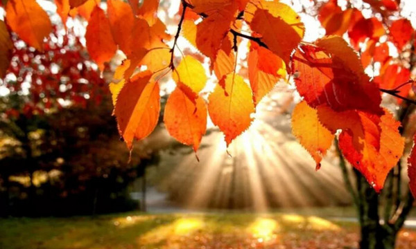 16 октября – день святого Лонгина: традиции и запреты