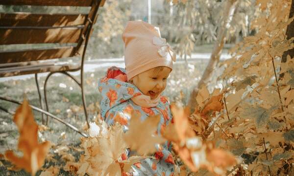 Погода в Україні 1 листопада: де очікується туман, а де потеплішає до +17°