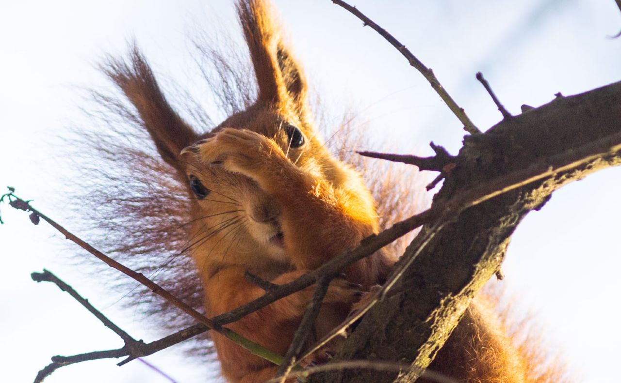 В Україні вдарять нічні морози: синоптик назвала дату потепління та попередила про холодні ночі