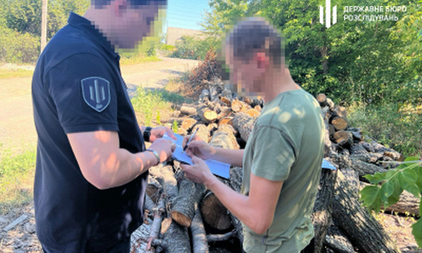 На Кіровоградщині посадовця лісництва судитимуть за вирубку сторічних дерев на понад 4 млн грн