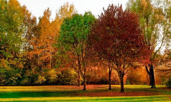 4 октября: какой сегодня праздник, который отмечают в Украине и церкви, народные приметы и запреты