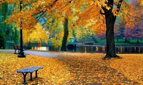 9 жовтня — свято апостола Якова Алфеєвого: що не можна робити, аби не втратити гроші