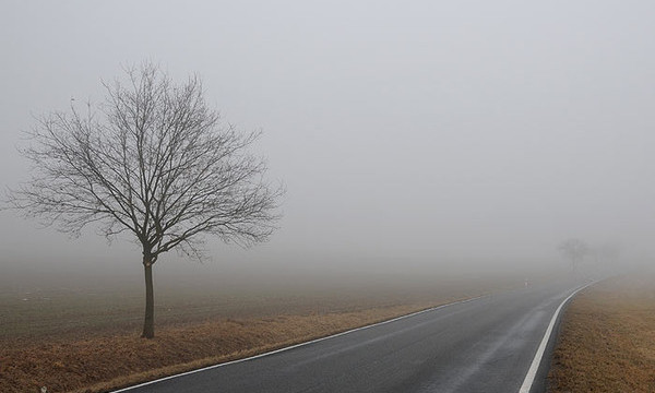 Погода в Украине 12 октября: без осадков, местами туман, днем до +19 °С