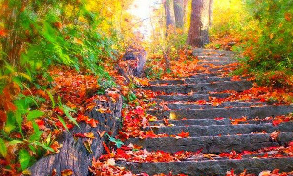 5 жовтня в Україні: яке сьогодні свято та народні прикмети