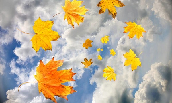 12 жовтня: яке сьогодні свято, прикмети та що не можна робити