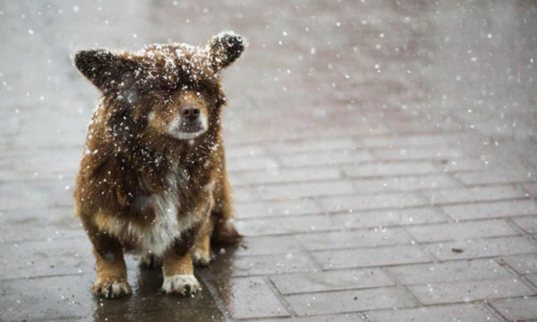 Осенняя волна: дожди и мокрый снег покроют Украину с 18 октября