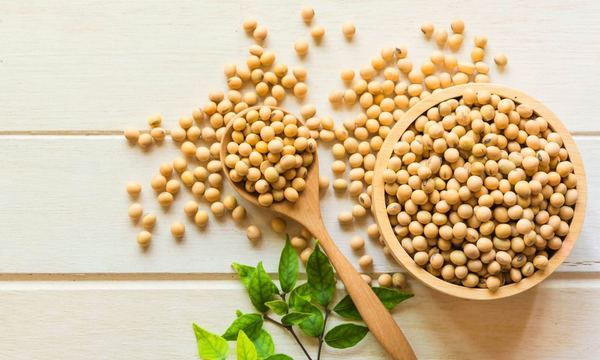 Укрепляет кости и сердце: почему стоит есть сою несколько раз в неделю