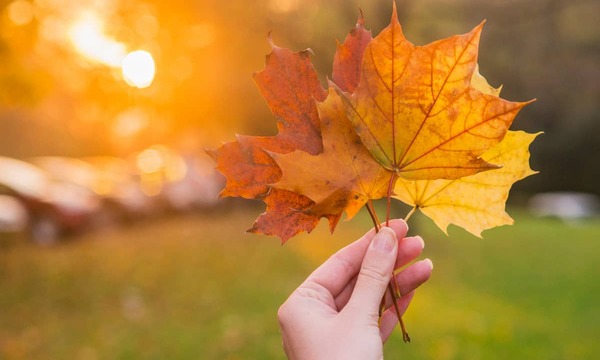 19 октября в православном календаре: что празднуют и народные приметы